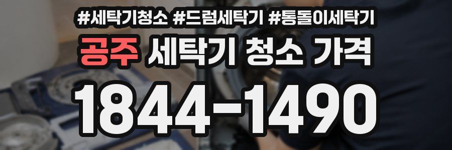 공주 세탁기 청소 가격