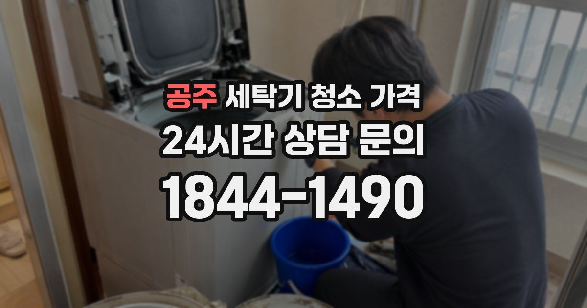 공주 세탁기 청소 가격