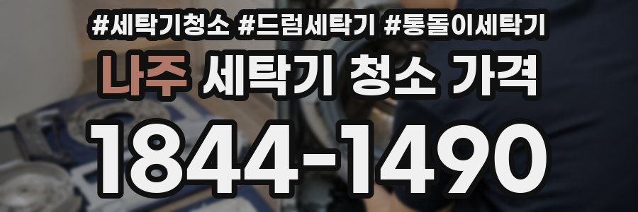 나주 세탁기 청소 가격
