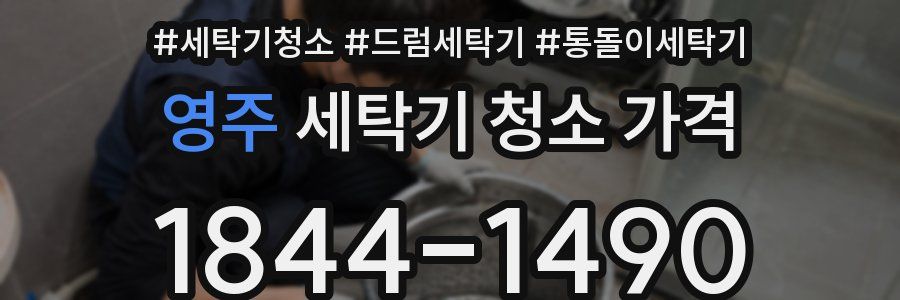영주 세탁기 청소 가격