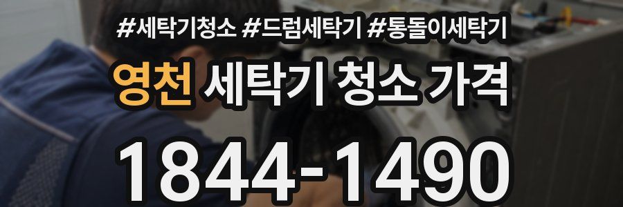 영천 세탁기 청소 가격