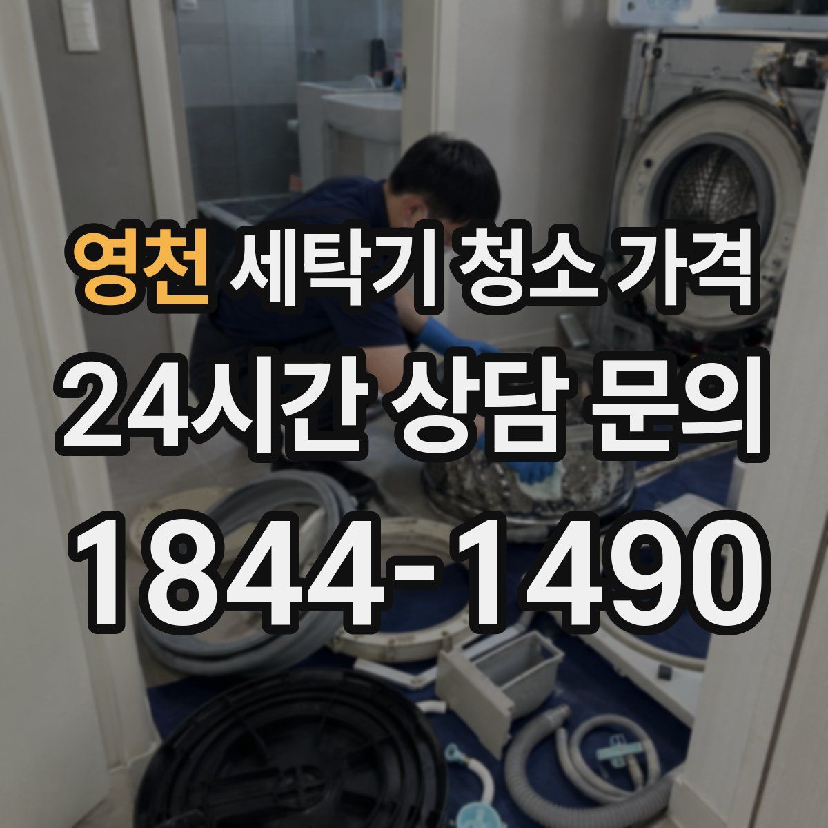 영천 세탁기 청소 가격