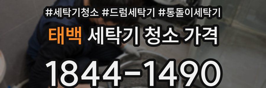 태백 세탁기 청소 가격