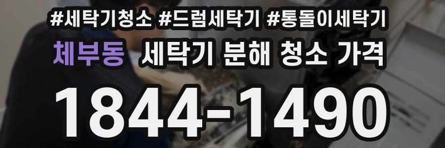 체부동 세탁기 분해 청소 가격