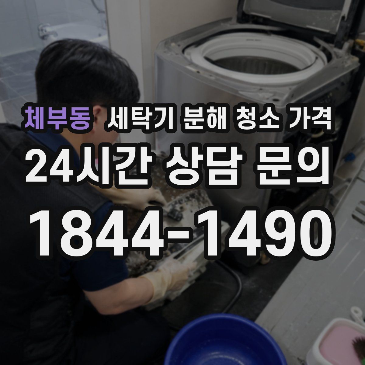 체부동 세탁기 분해 청소 가격
