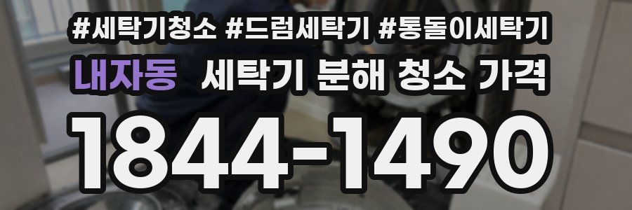 내자동 세탁기 분해 청소 가격