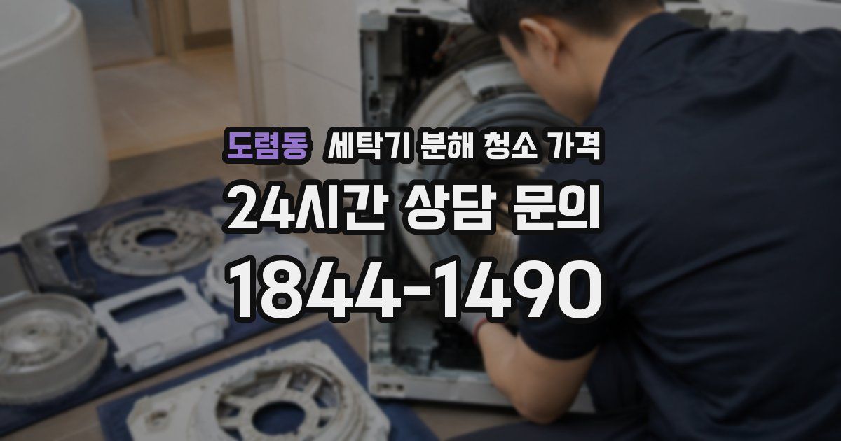 도렴동 세탁기 분해 청소 가격