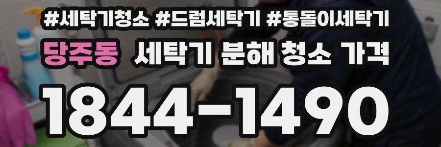 당주동 세탁기 분해 청소 가격
