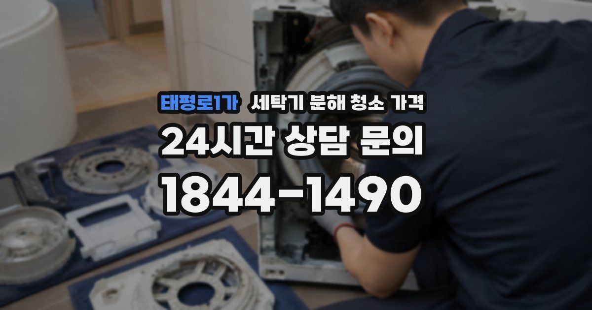 태평로1가 세탁기 분해 청소 가격
