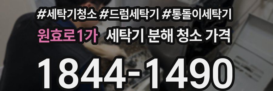 원효로1가 세탁기 분해 청소 가격