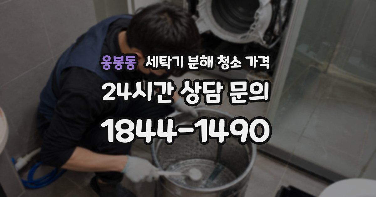 응봉동 세탁기 분해 청소 가격