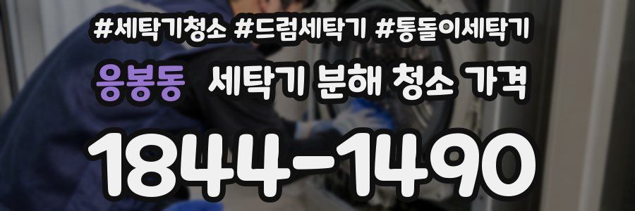 응봉동 세탁기 분해 청소 가격