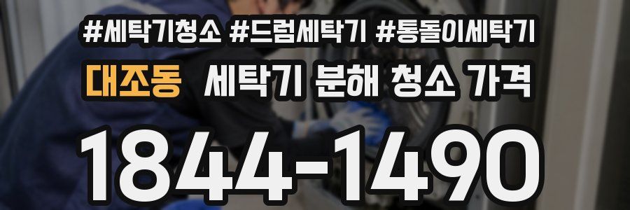 대조동 세탁기 분해 청소 가격