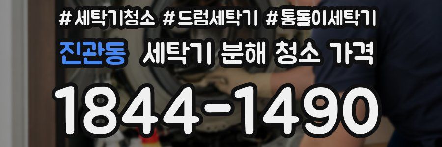 진관동 세탁기 분해 청소 가격