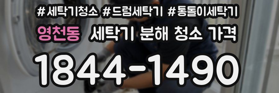 영천동 세탁기 분해 청소 가격