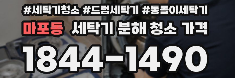 마포동 세탁기 분해 청소 가격