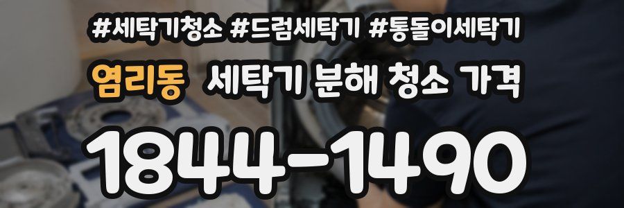 염리동 세탁기 분해 청소 가격