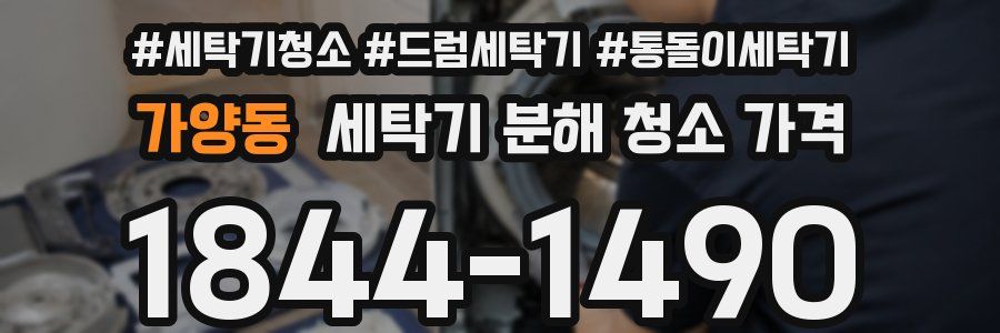 가양동 세탁기 분해 청소 가격