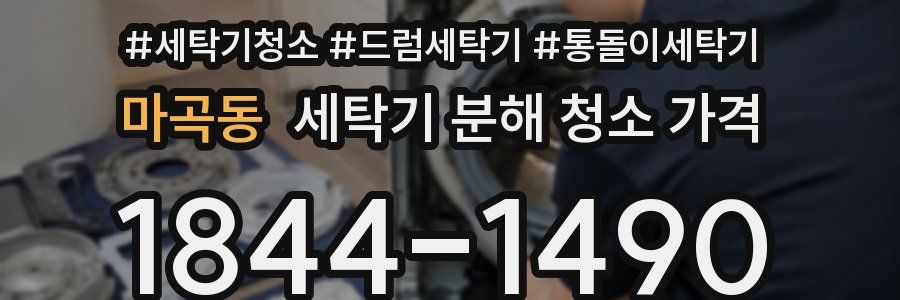 마곡동 세탁기 분해 청소 가격