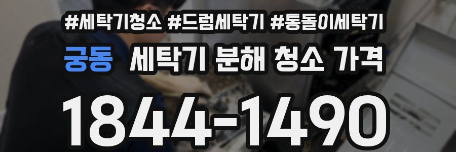 궁동 세탁기 분해 청소 가격