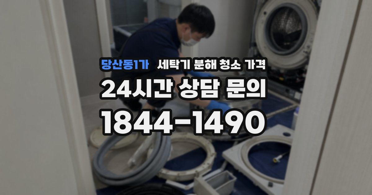 당산동1가 세탁기 분해 청소 가격