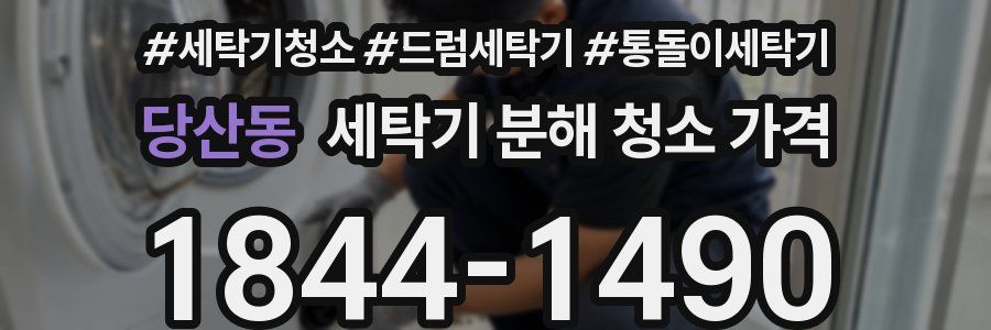 당산동 세탁기 분해 청소 가격