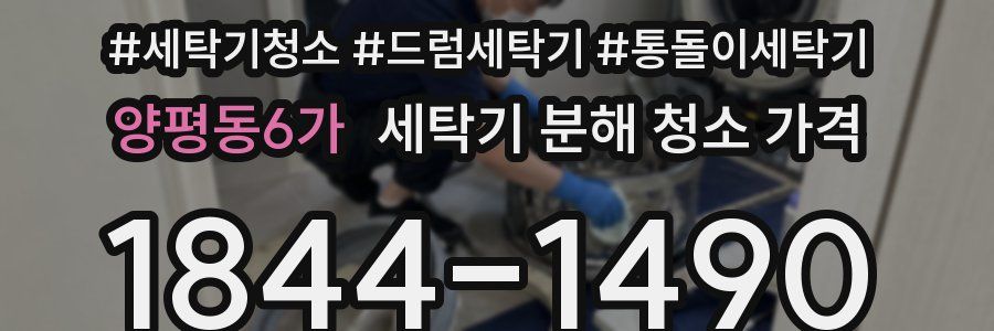 양평동6가 세탁기 분해 청소 가격