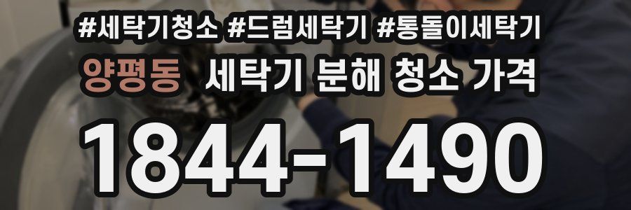 양평동 세탁기 분해 청소 가격