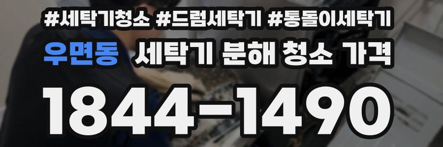 우면동 세탁기 분해 청소 가격