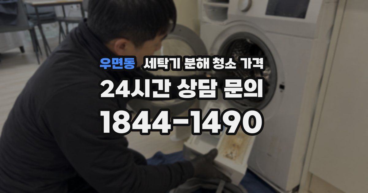 우면동 세탁기 분해 청소 가격