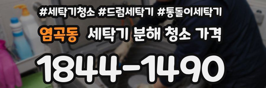 염곡동 세탁기 분해 청소 가격