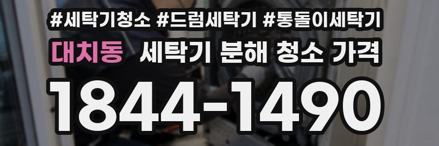 대치동 세탁기 분해 청소 가격