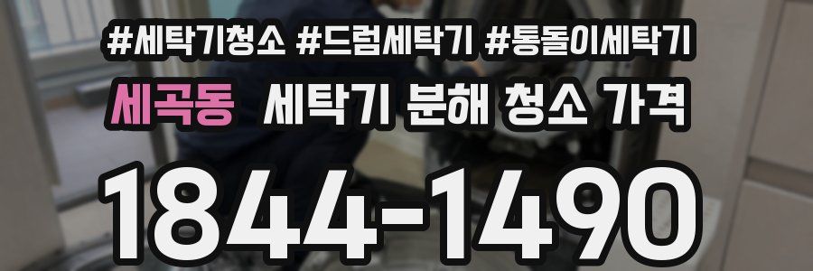 세곡동 세탁기 분해 청소 가격