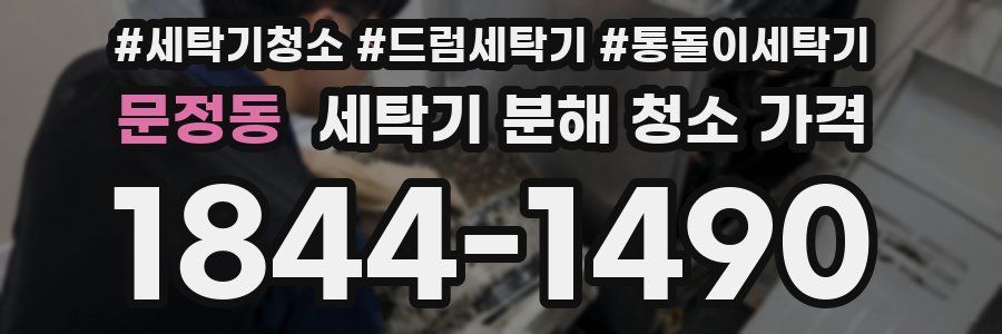 문정동 세탁기 분해 청소 가격