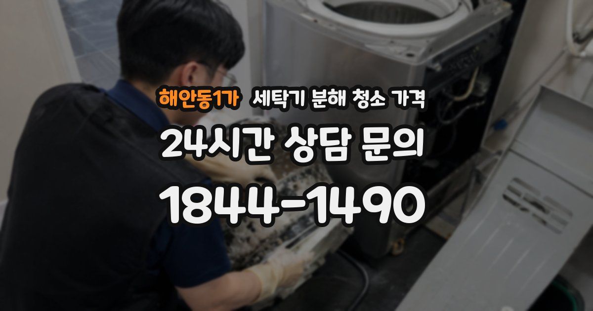 해안동1가 세탁기 분해 청소 가격