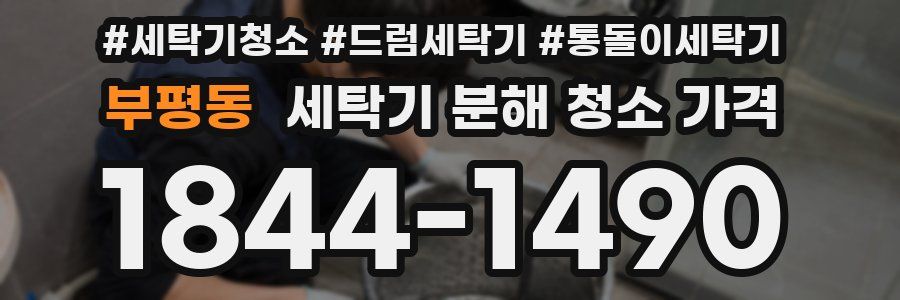 부평동 세탁기 분해 청소 가격