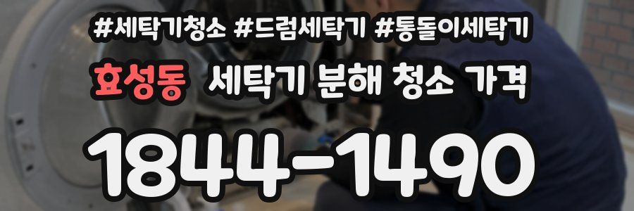 효성동 세탁기 분해 청소 가격