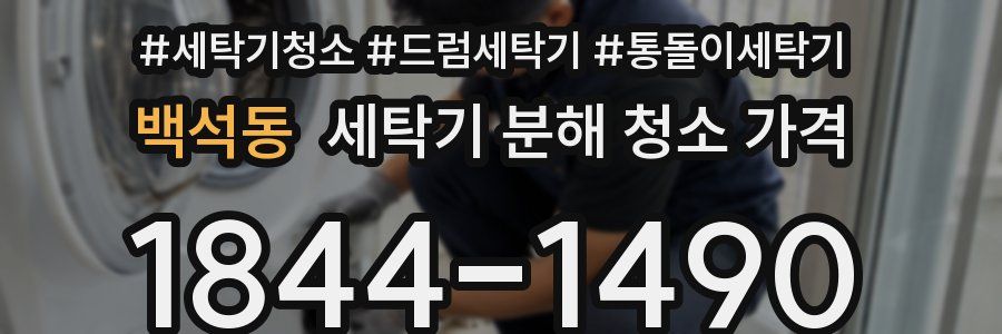 백석동 세탁기 분해 청소 가격