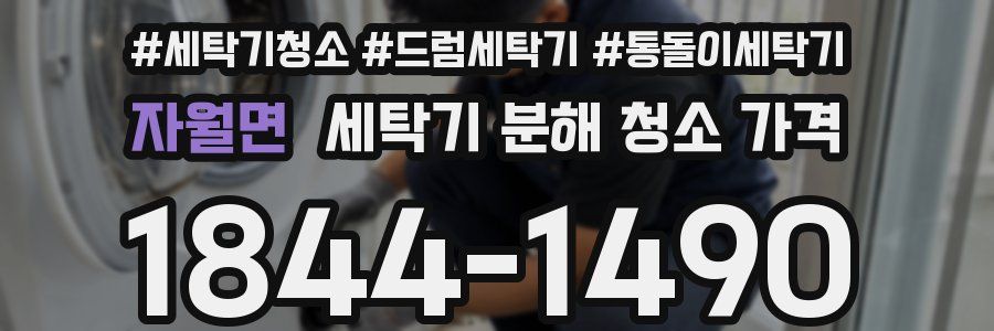 자월면 세탁기 분해 청소 가격