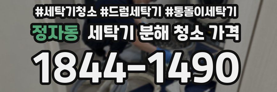 정자동 세탁기 분해 청소 가격