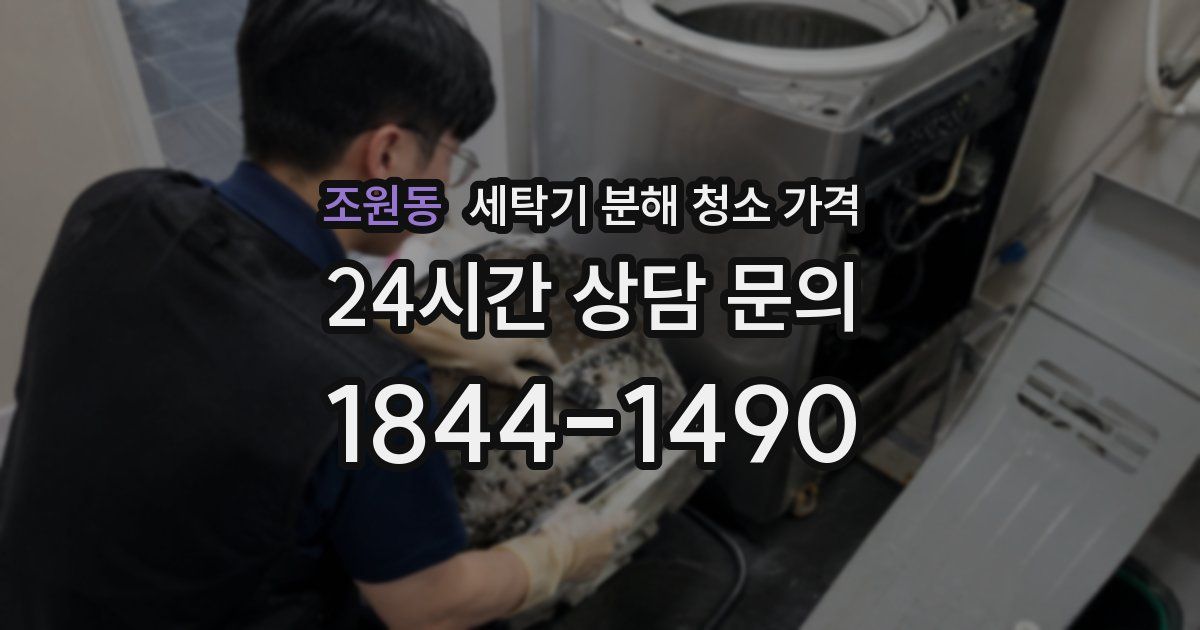 조원동 세탁기 분해 청소 가격