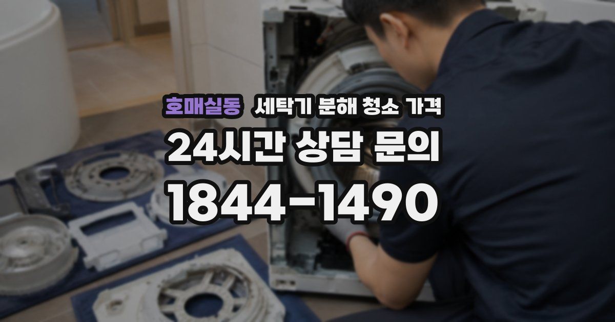 호매실동 세탁기 분해 청소 가격