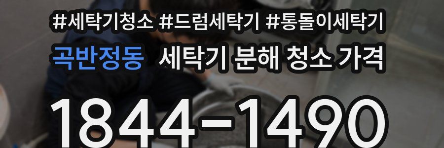 곡반정동 세탁기 분해 청소 가격