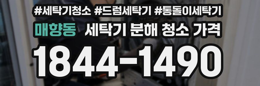 매향동 세탁기 분해 청소 가격