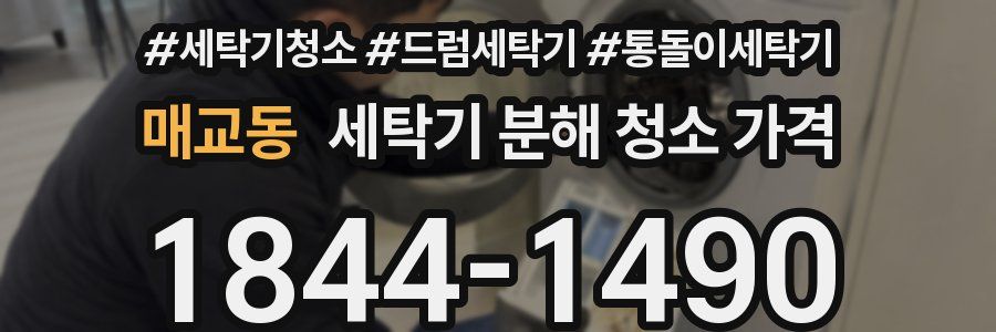 매교동 세탁기 분해 청소 가격