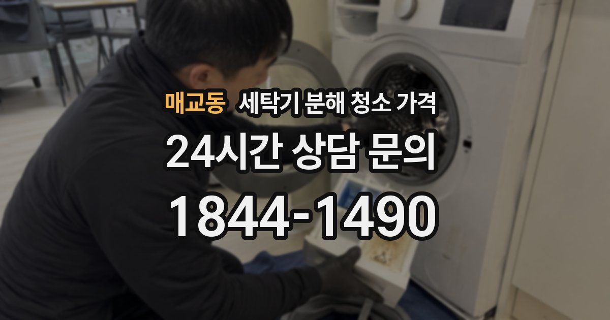 매교동 세탁기 분해 청소 가격