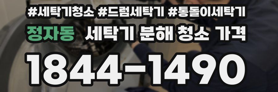 정자동 세탁기 분해 청소 가격