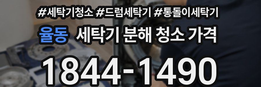 율동 세탁기 분해 청소 가격
