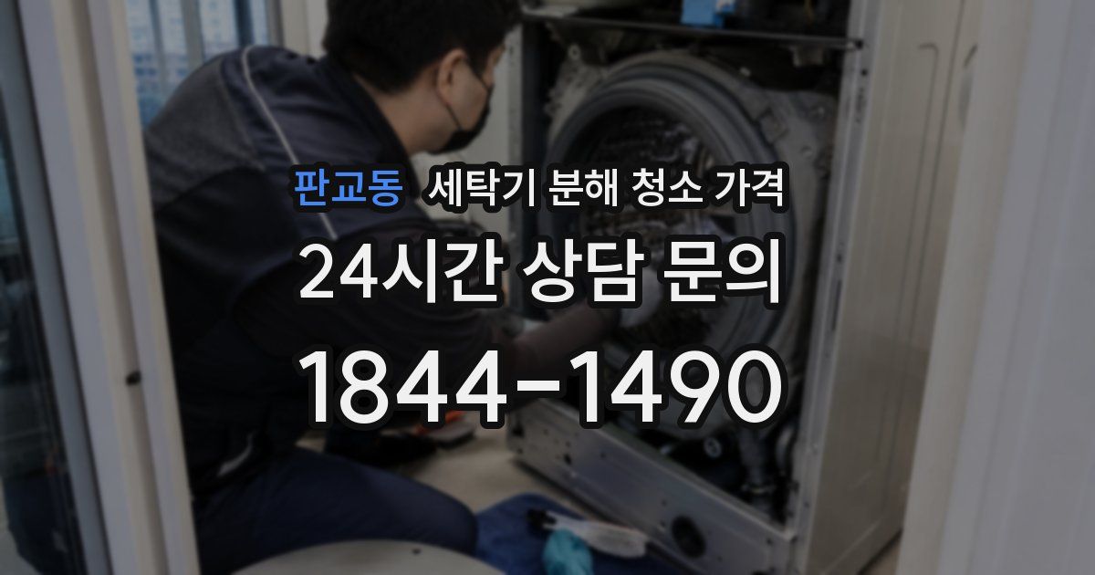 판교동 세탁기 분해 청소 가격
