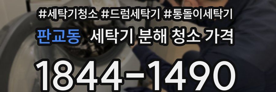 판교동 세탁기 분해 청소 가격